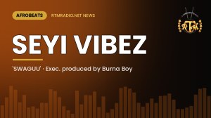 Seyi Vibez – SWAGUU